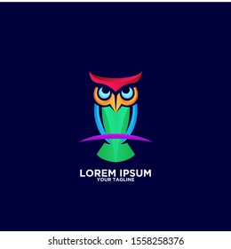 owl bird colorful logo icon design vector 