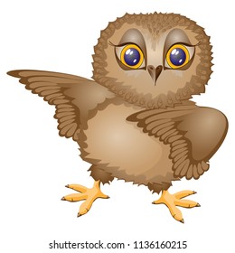 The owl bird dances, stands on the .Isolated icon. Character cartoon. Vector illustration.
