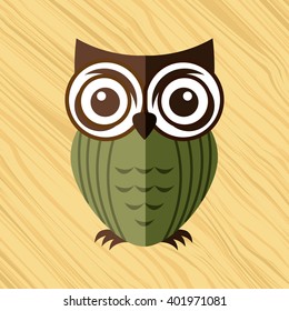 owl bird design 