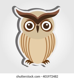 owl bird design 