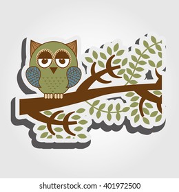 owl bird design 