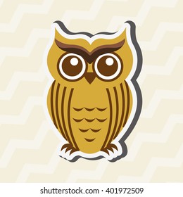 owl bird design 