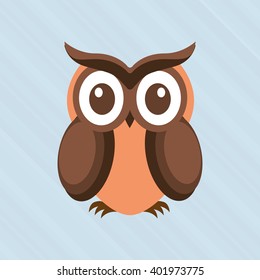 owl bird design 