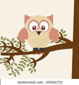 owl bird design, vector illustration eps10 graphic 