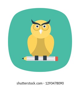 owl   bird   education  