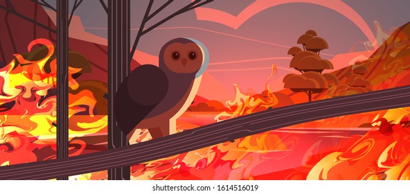 owl bird escaping from fires in australia animals dying in wildfire bushfire natural disaster concept intense orange flames horizontal vector illustration