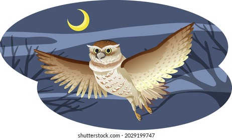 Owl bird in flying pose at night illustration