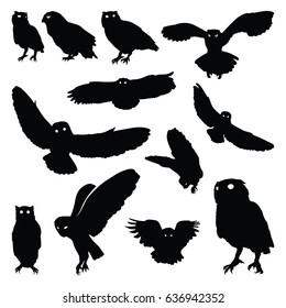 Owl Bird Flying Stand Motion Silhouette Set