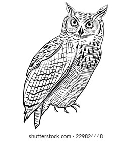 Owl bird as Halloween symbol for mascot or emblem design vector illustration for t-shirt. Sketch tattoo design.