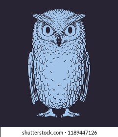 Owl bird hand drawn doodle sketch isolated on dark background. Vector illustration.