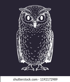 Owl bird hand drawn doodle sketch isolated on dark background. Vector illustration.