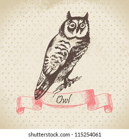 Owl bird, hand-drawn illustration