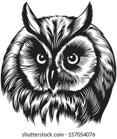 Owl bird head, black and white style 