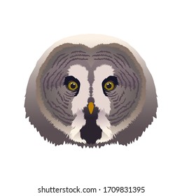 Owl bird head for kid book illustration.