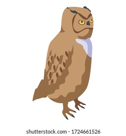 Owl bird icon. Isometric of owl bird vector icon for web design isolated on white background