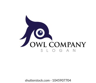 owl bird illustration logo template vector icon