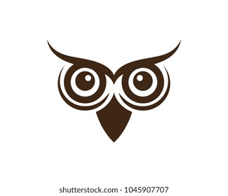 owl bird illustration logo template vector icon