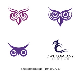 owl bird illustration logo template vector icon