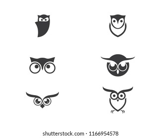 owl bird illustration logo template vector icon