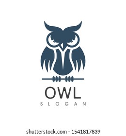 Owl bird illustration logo template vector icon