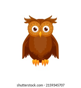 Owl bird isolated cute cartoon owlet icon. Vector colorful feathered barn, long eared eagle owl with wings, big eyes, wild forest bird of prey for wildlife mascot design. Halloween and wisdom symbol
