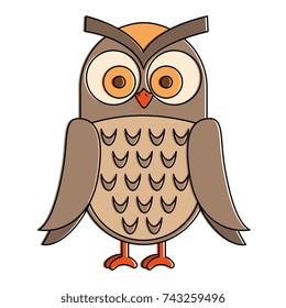 owl bird isolated icon