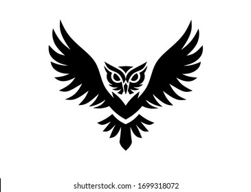 Owl Bird Logo Graphic Design, Wisdom Symbol