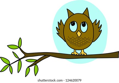 owl bird on branch