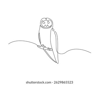 Owl bird outline drawing illustration. one continuous line drawing of eagle owl.