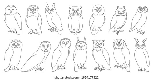 Owl bird outline vector set illustration of icon. .Vector set icon of animal owl. Isolated outline collection illustration of bird on white background.