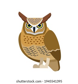 Owl is a bird of prey, mainly nocturnal birds. Eagle horned owl Cartoon flat style beautiful character of ornithology, vector illustration isolated on white background.