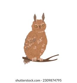 Owl bird sitting on branch, flat vector illustration isolated on white background. Hand drawn bird animal. Concepts of nature and wildlife.