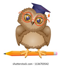 Owl bird student with pencil, stands. Isolated drawing, icon. Character cartoon. Vector illustration.