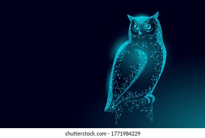 Owl bird symbol of wise education. E-learning distance concept. Graduate certificate program concept. Low poly 3D internet education course degree vector illustration