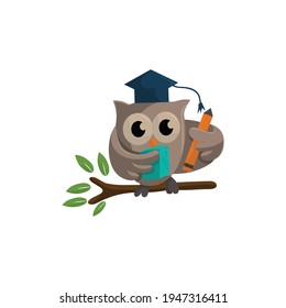 Owl bird template design Smart Education with Owl Symbol 