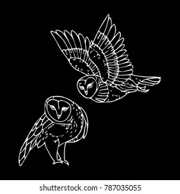 Owl bird vector illustration. Doodle style. Design, print, decor, textile, paper