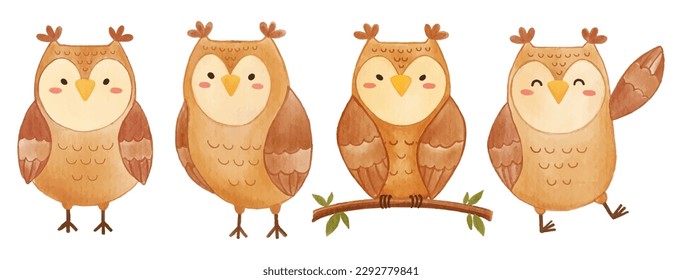 Owl bird . Watercolor painting design . Set of cute animal cartoon character . Vector .