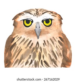 Owl bird. Watercolor, vector
