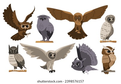 Owl birds. Cartoon great horned owl and saw-whet owl feather, zoo ornithology flying animal characters flat style. Vector isolated set of cartoon animal owl illustration