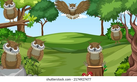 Owl birds in the forest scene illustration