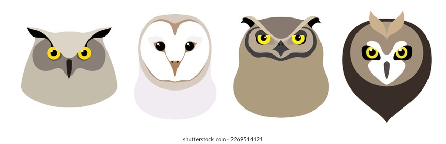 Owl birds are white and gray with yellow eyes on a white background. Avatar, icon, logo. Set of isolated vector illustrations