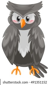 Owl with black feather illustration