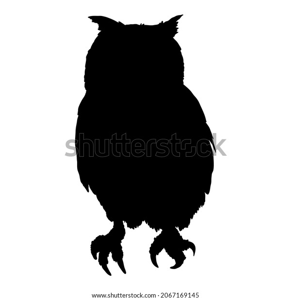 Owl Black Silhouette Isolated White Background Stock Vector (Royalty ...