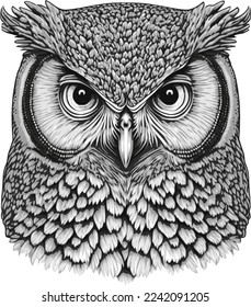 Owl black and white vector