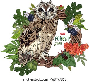 Owl in blooming deciduous forests, vector illustration, eps-10