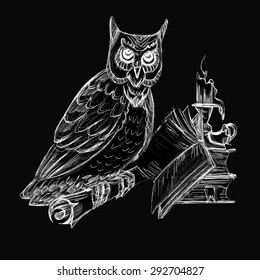 Owl books and candles knowledge drawing chalk on a blackboard vector