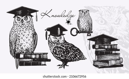 Owl, books, key, keeper of knowledge. A set of silhouettes of birds in an academic cap. Vector illustration in vintage style.