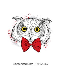 Owl in the bow tie. Vector illustration.