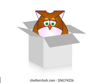 owl in box