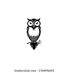 the owl branch logo design concept